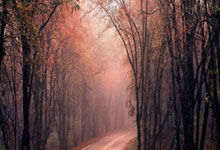 配资股配资:股票配资15-中信建投：海外模拟IC龙头业绩验证拐点 结构性复苏主线清晰